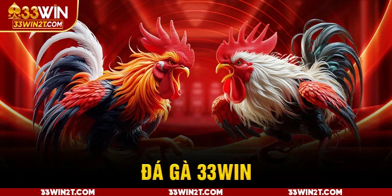 Sơ lược đôi nét thông tin về sảnh chơi đá gà 33WIN trực tuyến Sơ lược đôi nét thông tin về sảnh chơi đá gà 33WIN trực tuyến